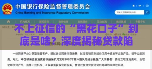 不上征信的“黑花口子”到底是啥？深度揭秘贷款陷阱