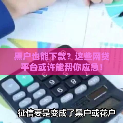 黑户也能下款？这些网贷平台或许能帮你应急！