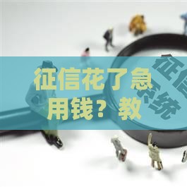 征信花了急用钱？教你三招快速下款的小窍门