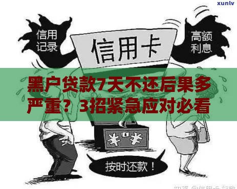 黑户贷款7天不还后果多严重？3招紧急应对必看！