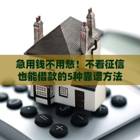 急用钱不用愁！不看征信也能借款的5种靠谱方法，低门槛轻松下款！