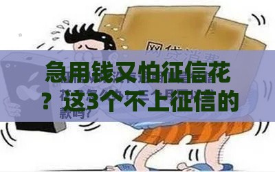 全网拒还能在哪借钱2025,隆重介绍5个不上征信黑户口子