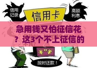 急用钱又怕征信花？这3个不上征信的回收口子别错过！