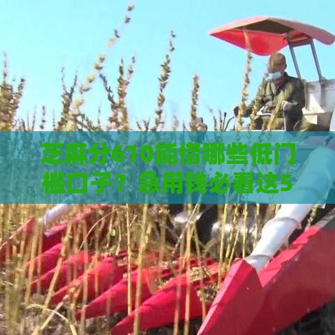 芝麻分610能借哪些低门槛口子？急用钱必看这5个平台