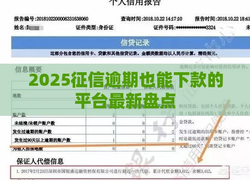 2025征信逾期也能下款的平台最新盘点