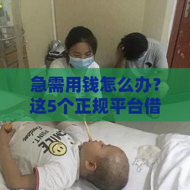 急需用钱怎么办？这5个正规平台借钱直接到账！