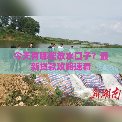 今天有哪些放水口子？最新贷款攻略速看