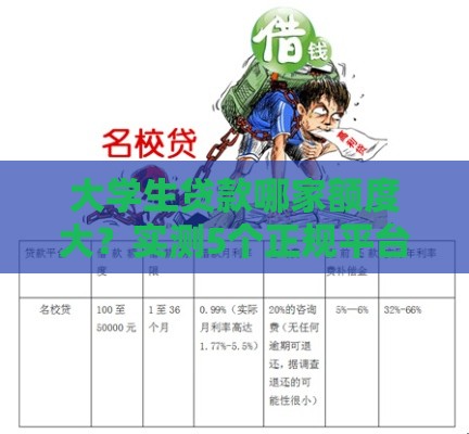 大学生贷款哪家额度大？实测5个正规平台避坑指南