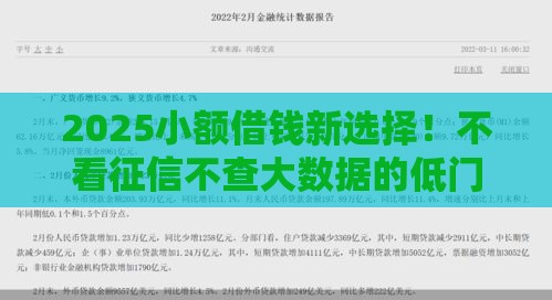 2025小额借钱新选择！不看征信不查大数据的低门槛借款攻略