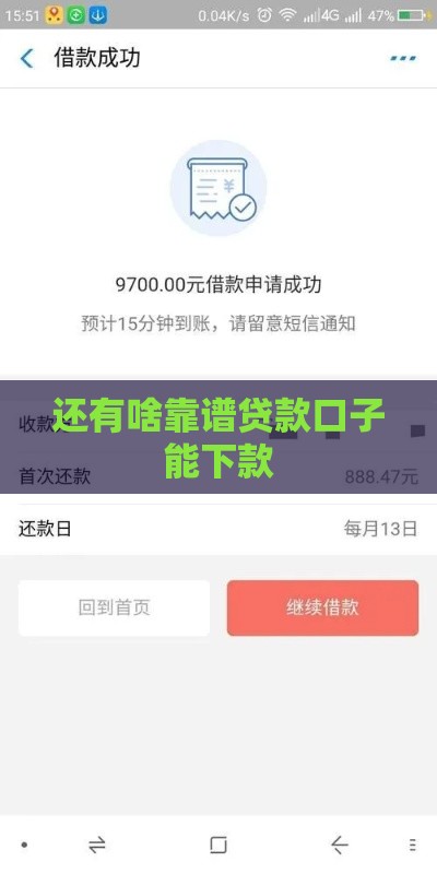 还有啥靠谱贷款口子能下款