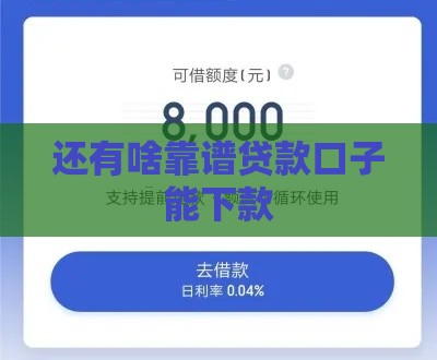 还有啥靠谱贷款口子能下款