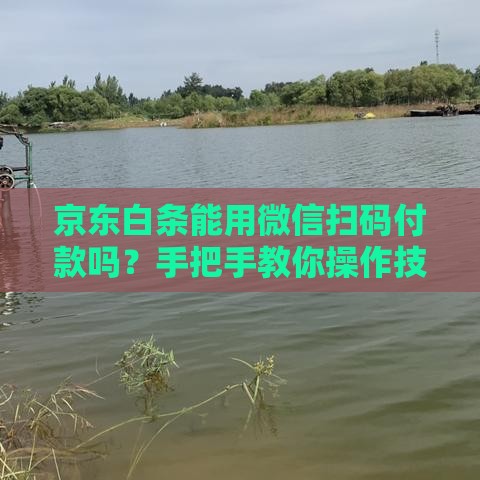 京东白条能用微信扫码付款吗？手把手教你操作技巧！