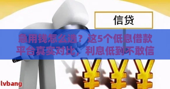 急用钱怎么选？这5个低息借款平台真实对比，利息低到不敢信！