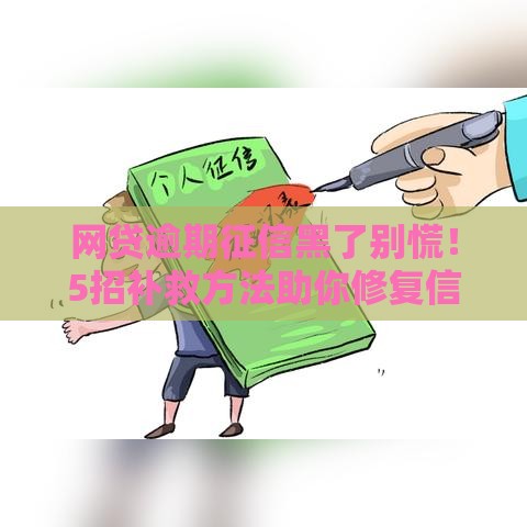 网贷逾期征信黑了别慌！5招补救方法助你修复信用