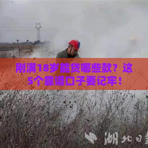 刚满18岁能贷哪些款？这5个靠谱口子要记牢！