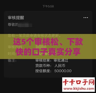 这5个审核松、下款快的口子真实分享