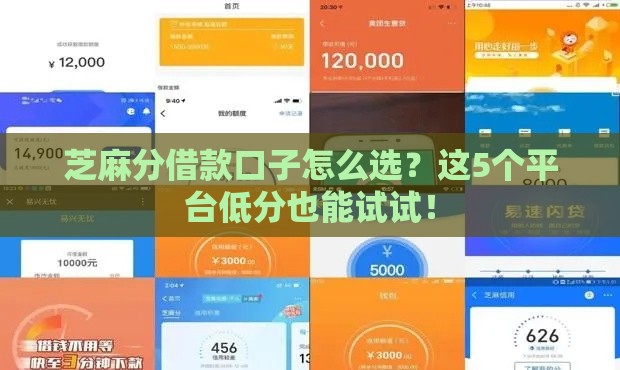 芝麻分借款口子怎么选？这5个平台低分也能试试！