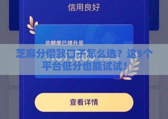 芝麻分借款口子怎么选？这5个平台低分也能试试！