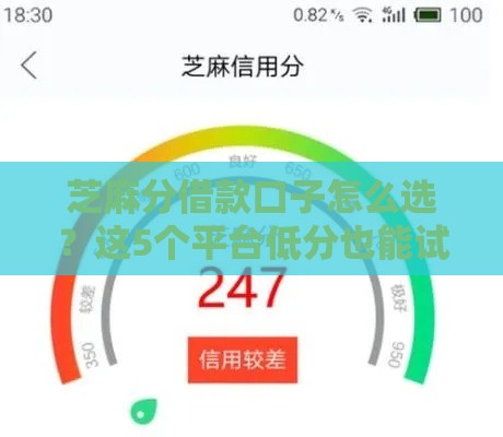 芝麻分借款口子怎么选？这5个平台低分也能试试！