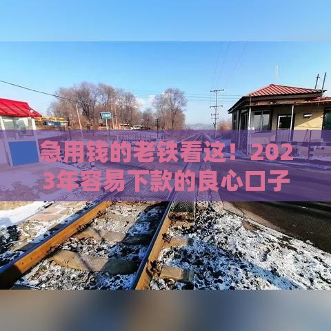 急用钱的老铁看这！2023年容易下款的良心口子大公开