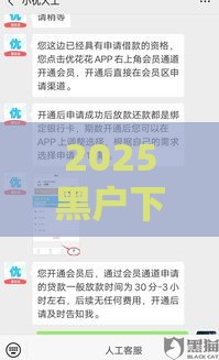 2025黑户下款的口子是真的吗？一文说透背后门道！