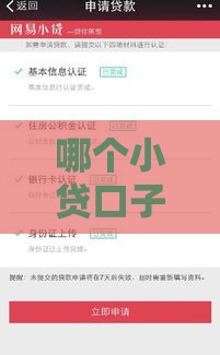 哪个小贷口子好下款？这几个平台真的靠谱吗