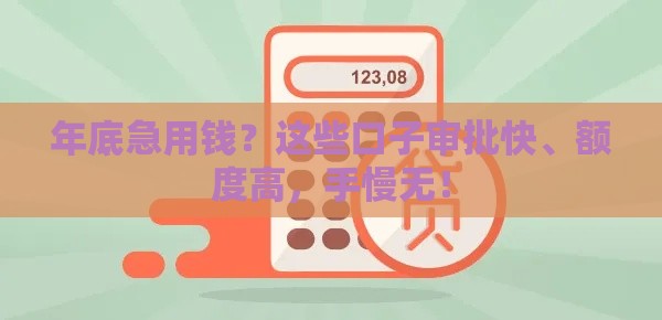 年底急用钱？这些口子审批快、额度高，手慢无！