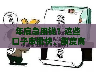 年底急用钱？这些口子审批快、额度高，手慢无！