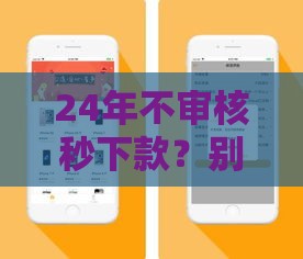 24年不审核秒下款？别急，先听我一句！