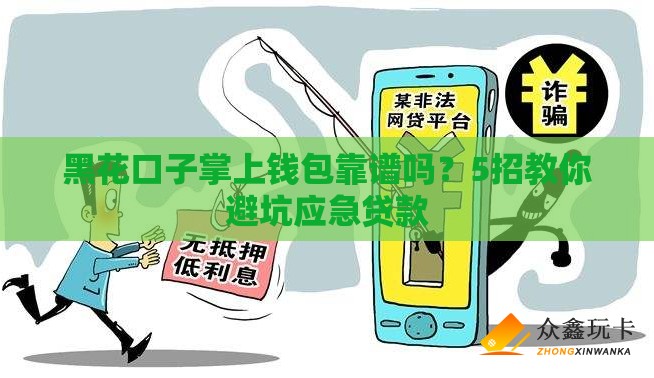 黑花口子掌上钱包靠谱吗？5招教你避坑应急贷款
