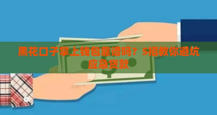 黑花口子掌上钱包靠谱吗？5招教你避坑应急贷款