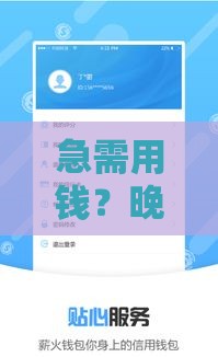 急需用钱？晚上也能快速放款的平台有哪些？