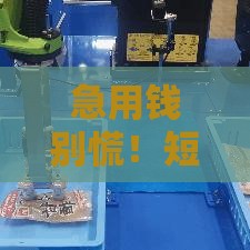 急用钱别慌！短期贷款口子哪里找？这5个渠道轻松解决资金难题