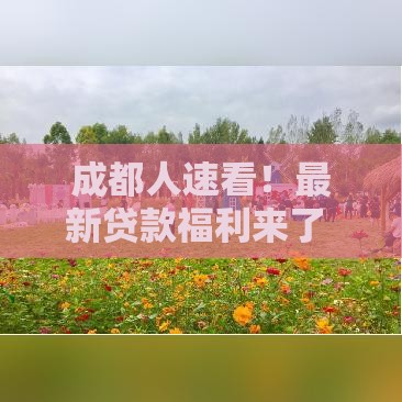 成都人速看！最新贷款福利来了 这些政策帮你轻松融资