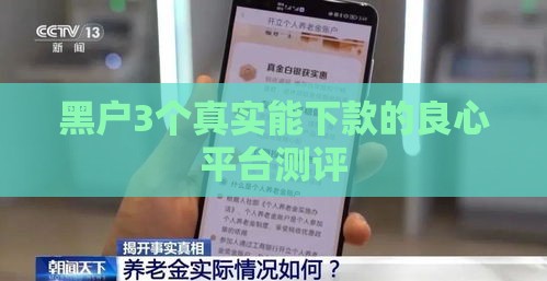 黑户3个真实能下款的良心平台测评