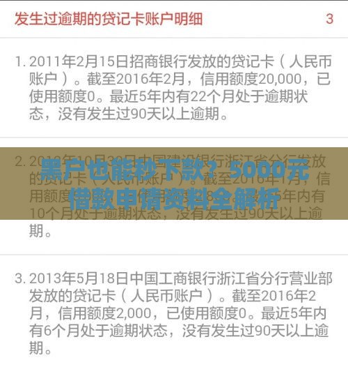 黑户也能秒下款？5000元借款申请资料全解析