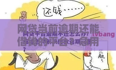 网贷当前逾期还能借钱的平台？急用钱必看这几点！