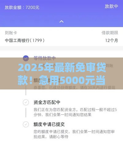 2025年最新免审贷款！急用5000元当天到账？这些渠道你得知道