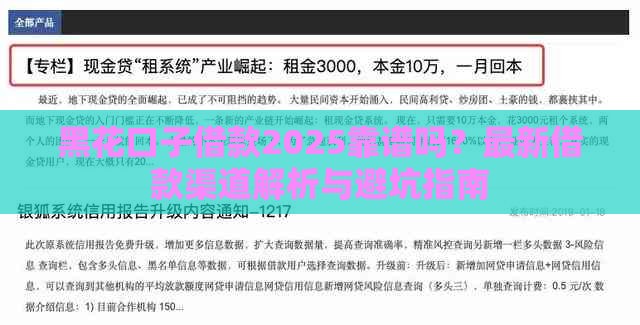 黑花口子借款2025靠谱吗？最新借款渠道解析与避坑指南
