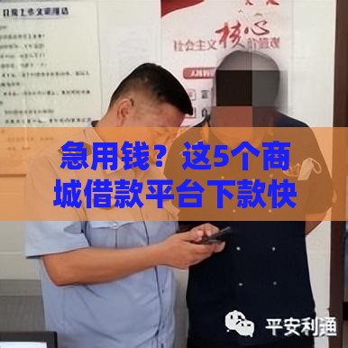 急用钱？这5个商城借款平台下款快、门槛低！