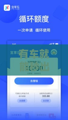 有车就能秒出额度？不押本的网贷真靠谱吗？这些细节要注意！