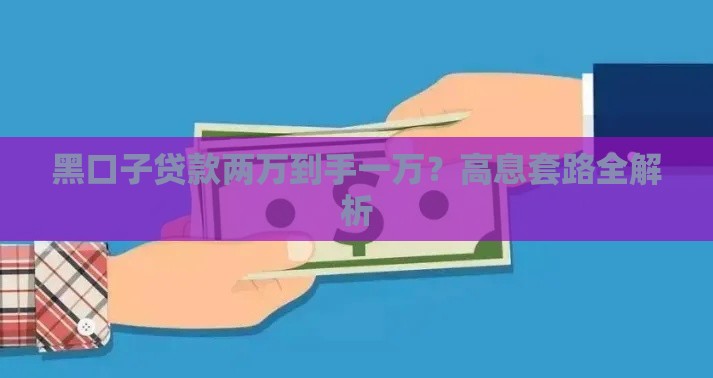 黑口子贷款两万到手一万？高息套路全解析
