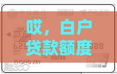 哎，白户贷款额度高的口子到底在哪？实测5个良心平台