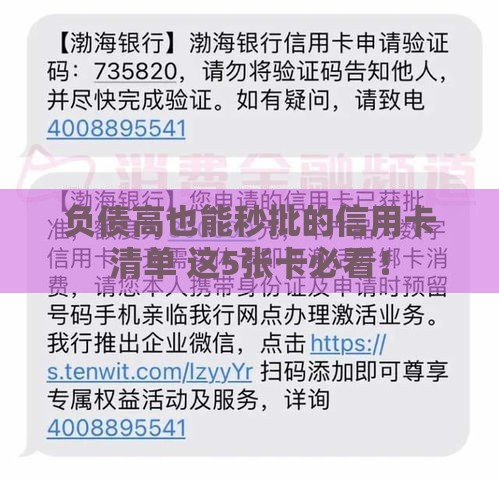 负债高也能秒批的信用卡清单 这5张卡必看！