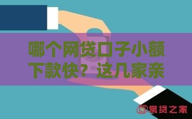 哪个网贷口子小额下款快？这几家亲测靠谱