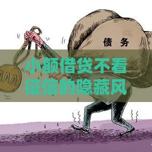 小额借贷不看征信的隐藏风险你知道吗