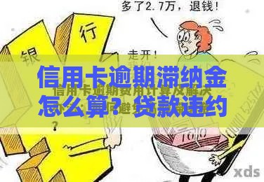 信用卡逾期滞纳金怎么算？贷款违约成本全解析