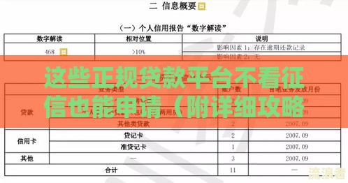 这些正规贷款平台不看征信也能申请（附详细攻略）