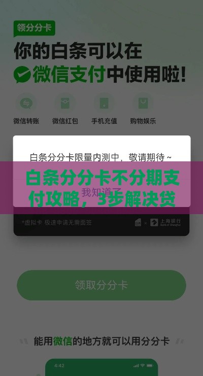 白条分分卡不分期支付攻略，3步解决贷款压力