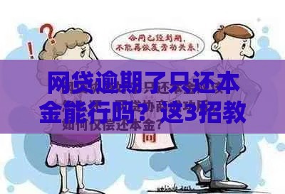 网贷逾期了只还本金能行吗？这3招教你协商成功